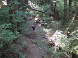 Middle Fork Trail