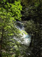 View of Salmon Creek Falls